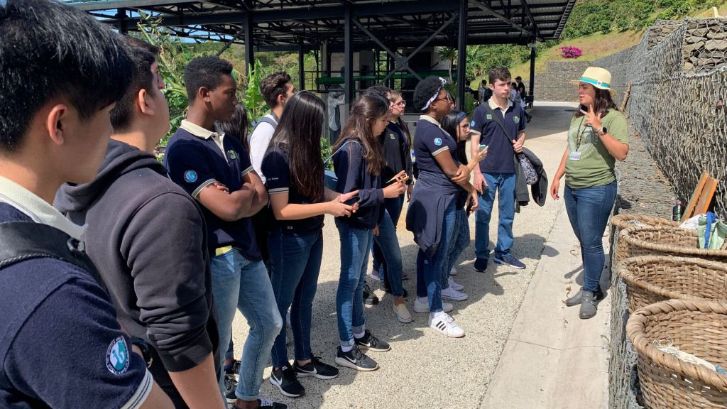 amazing caves coverimage