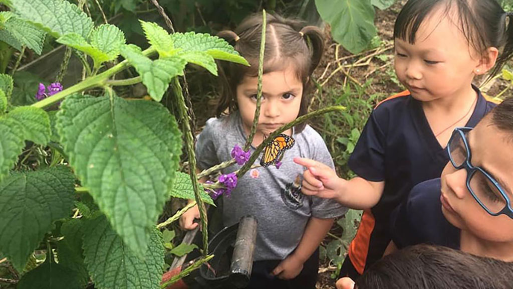 amazing caves coverimage